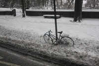 A Bad Day For Bicycling