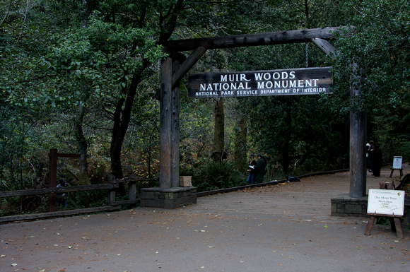 Welcome To Muir Woods
