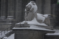 A Lion In Winter